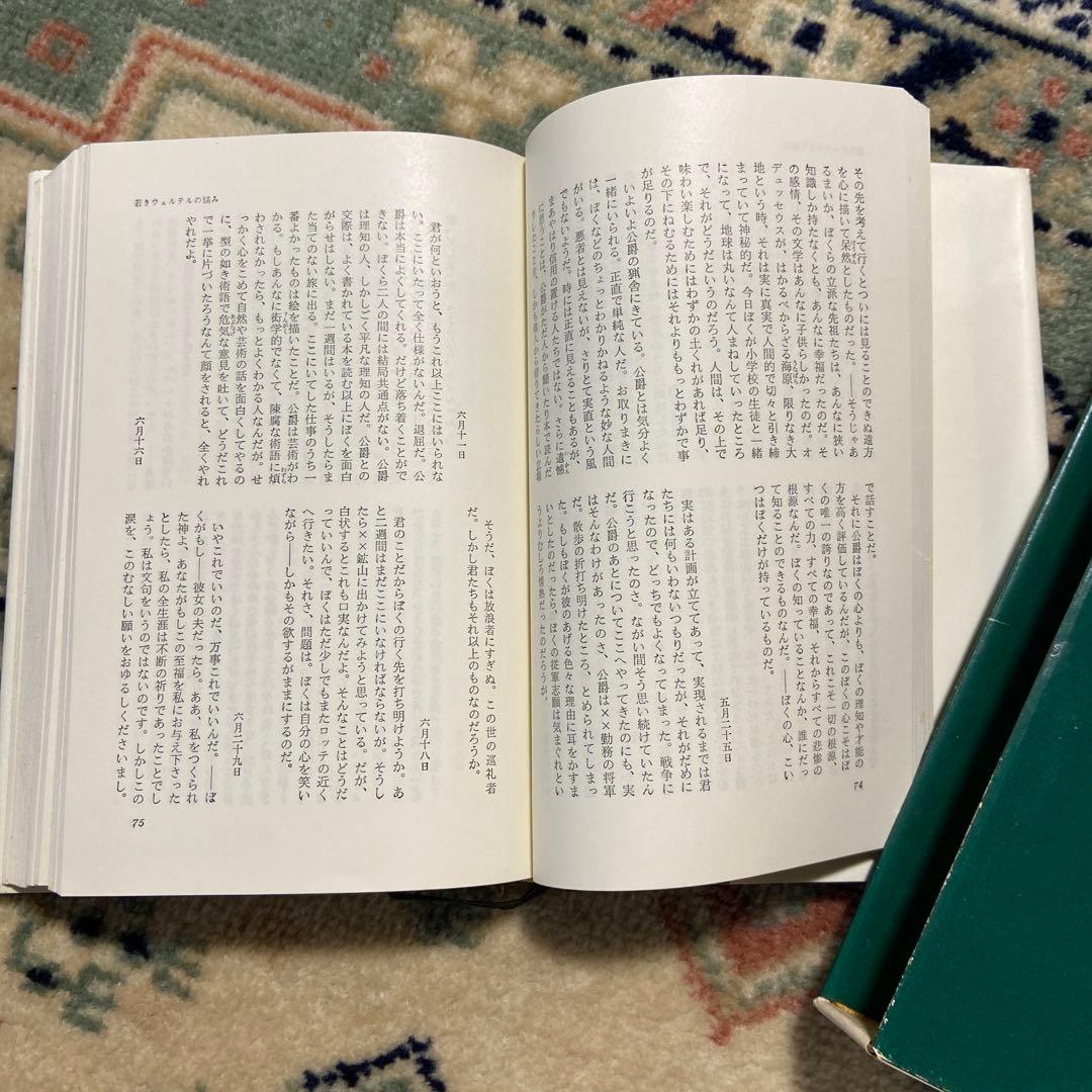 新潮社　世界文学　希少　全集50巻まとめ売り　純文学　世界の作家