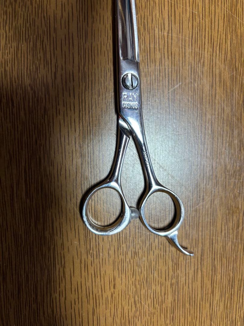 レイコスモス131光RAY COSMOS