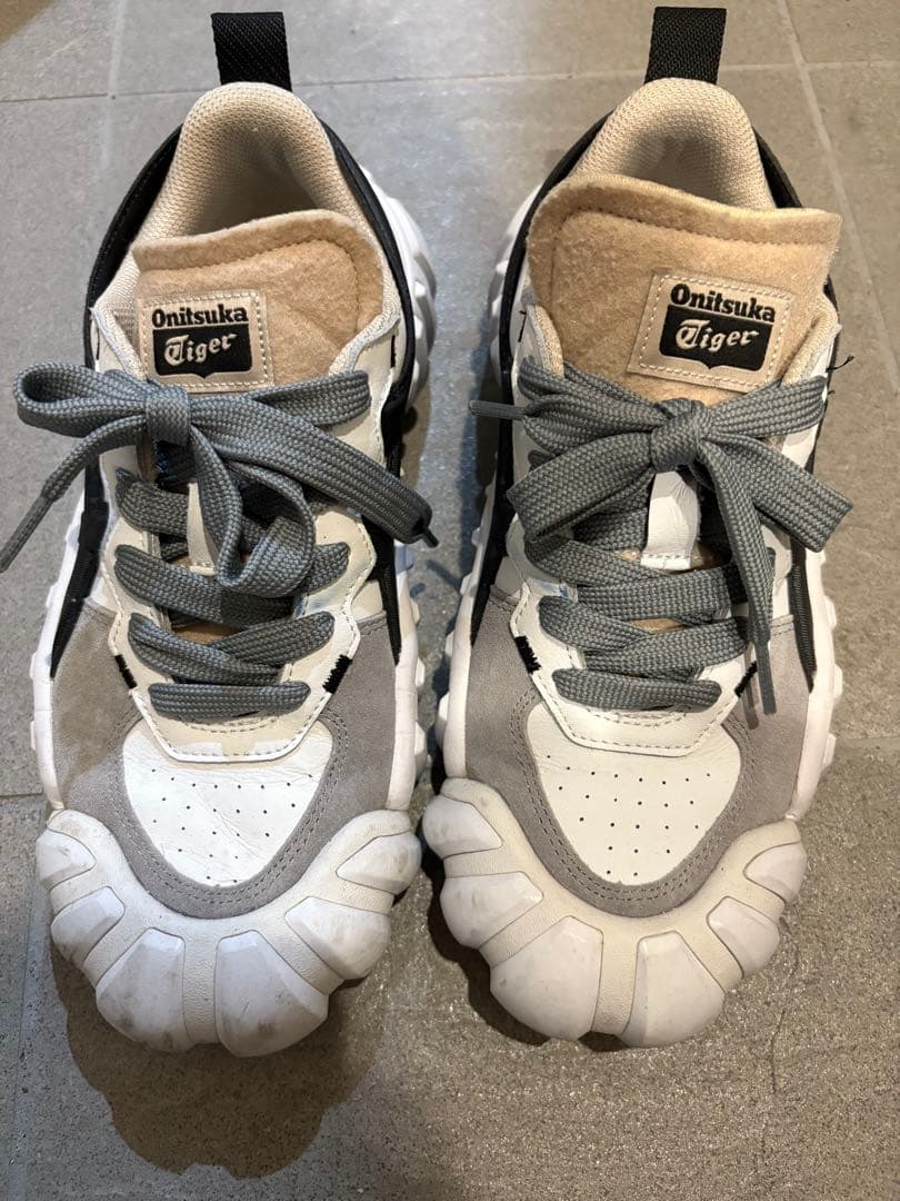 オニツカタイガー　デンティグレ