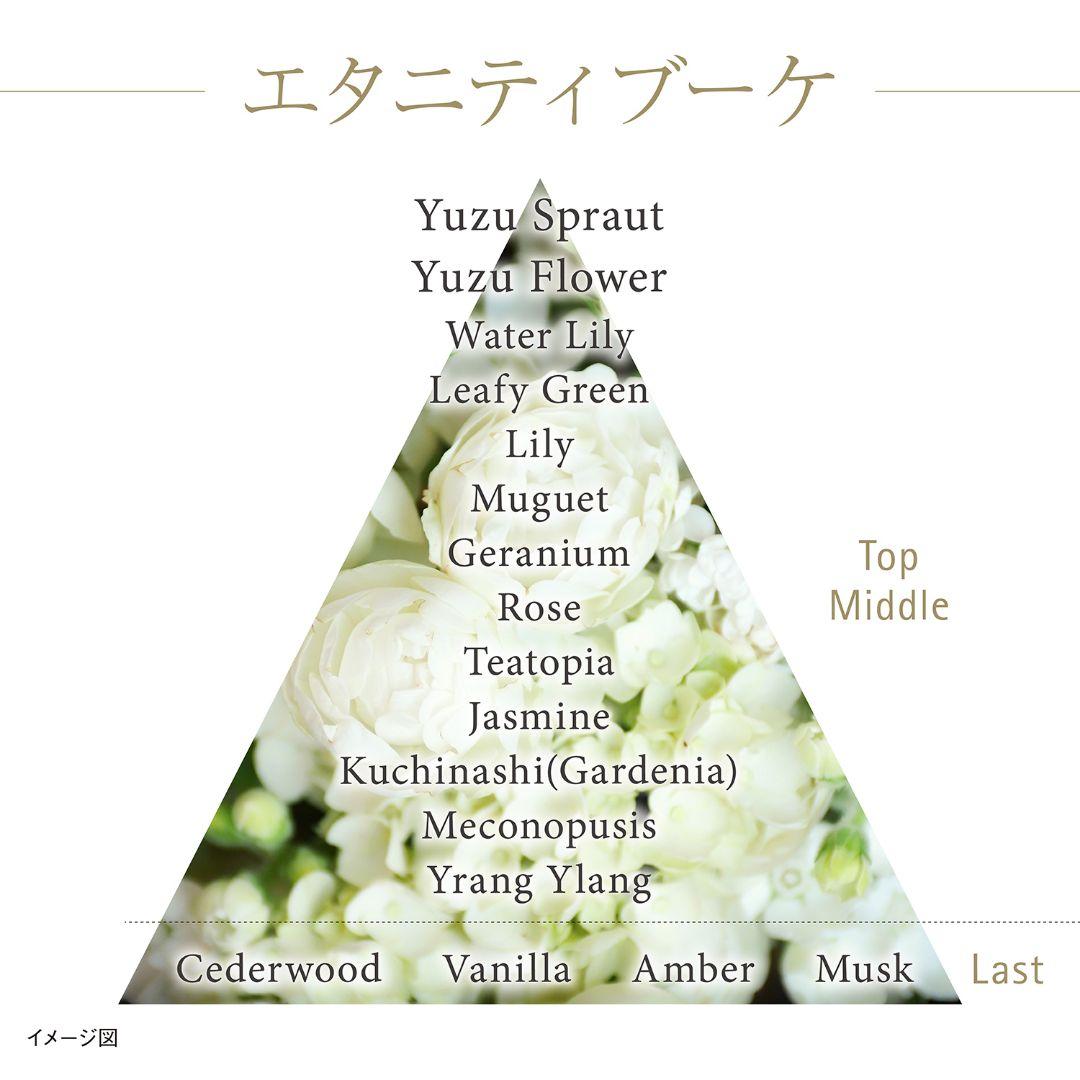 KANEBO　ザ　クリーム