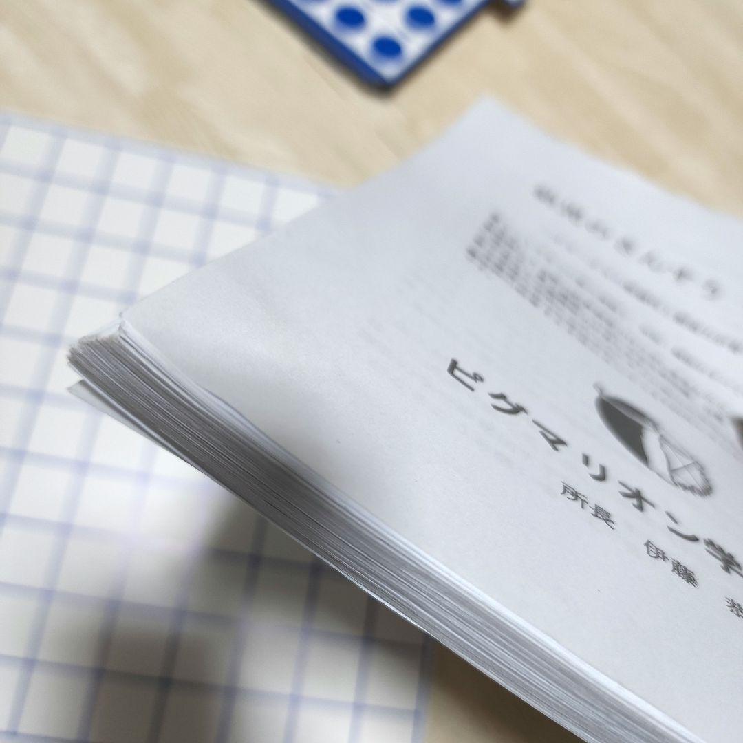 【ピグマリオン ドット棒C型の使い方＆幼児のさんすうⅢセット】