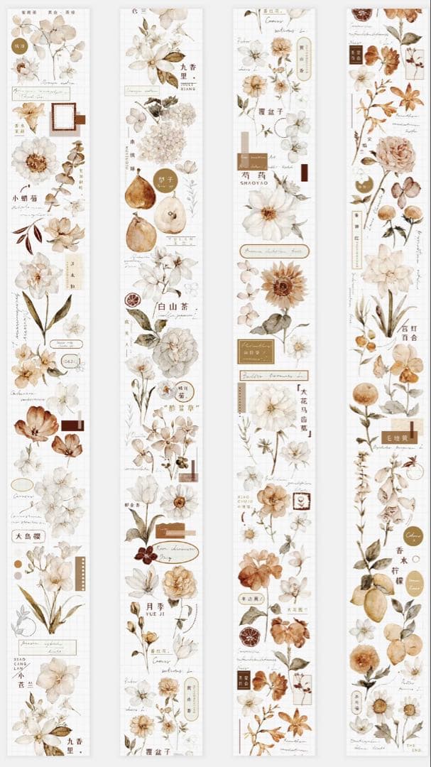 《最終値下げ》海外 マスキングテープ　雀斑茶 6点⚠️pet（33.324