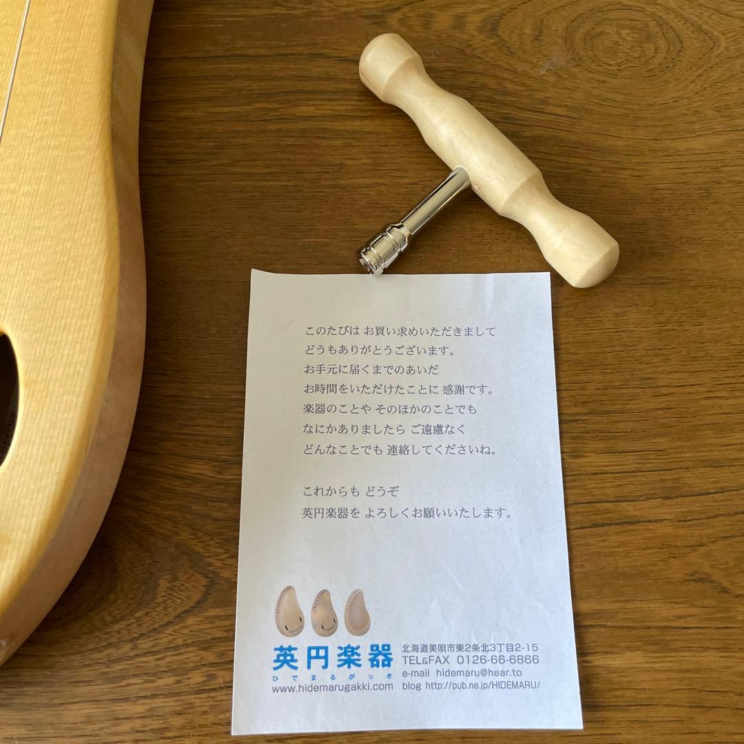 英円楽器 ライア 12弦