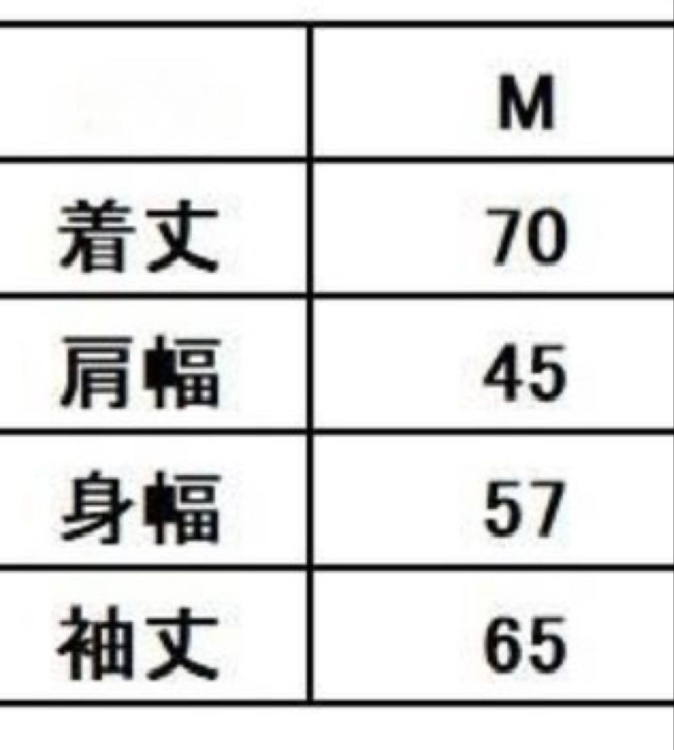 CLAYSMITH CSY-5050 レザーコーチジャケット 自宅試着のみ新品