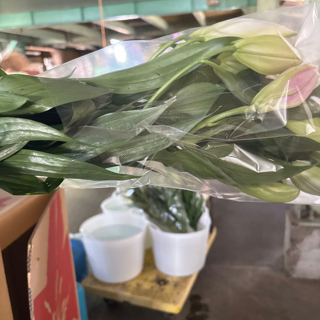 ミニーマウス5 同梱ピンク色百合10本 白百合3〜5輪咲き10本プレミアム