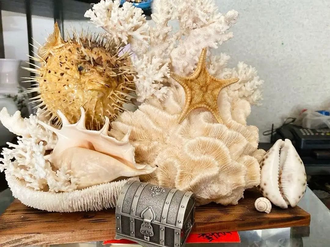 珊瑚　縁起物　昭和時代物　宝箱付き　アンティーク