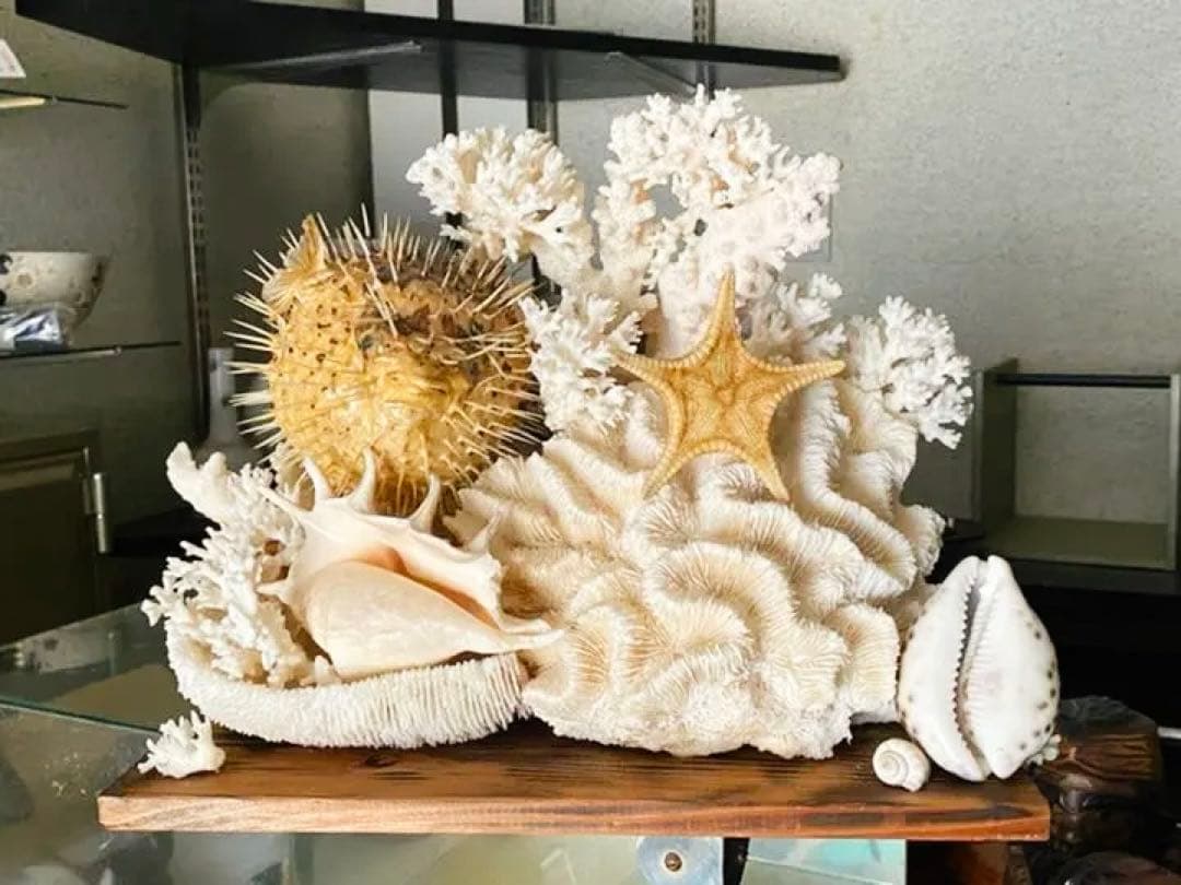 珊瑚　縁起物　昭和時代物　宝箱付き　アンティーク