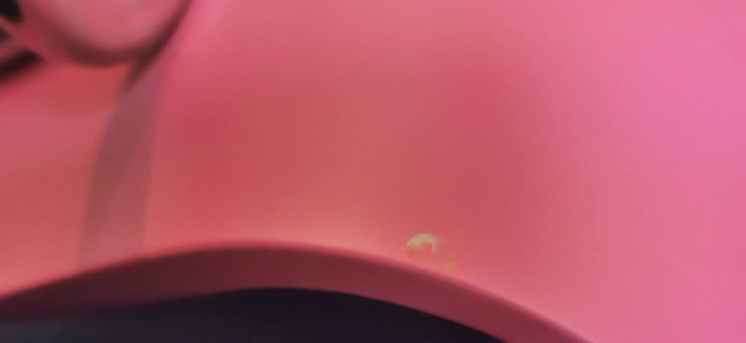 SANAA　チェア　 ピンク　NEXTMARUNI　ネクストマルニ