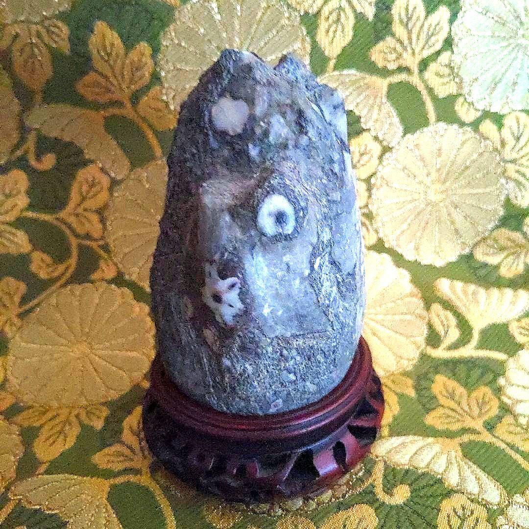 【最終価格】門司　梅花石　台座付　水石　盆石