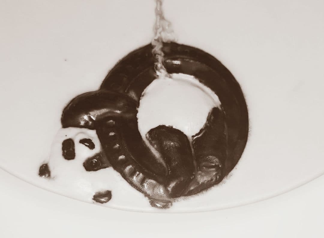 うつわやみたす　皿　パンダ