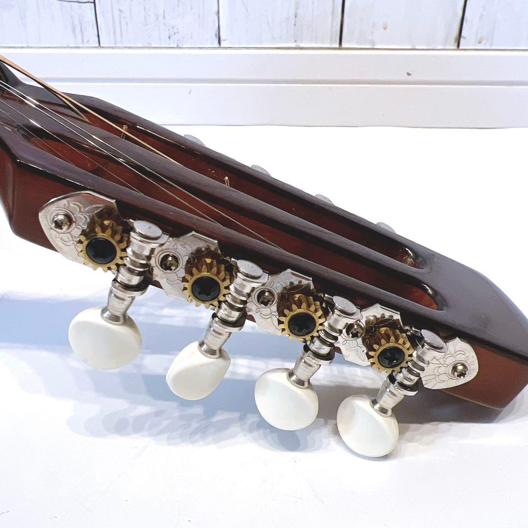 【極美品・限定1本】SUZUKI マンドリン　M-30 ハードケース　スズキ