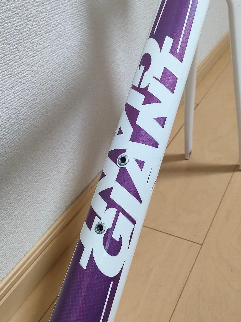 GIANT Liv フルカーボン ロードバイク フレーム xxs 女性/キッズ