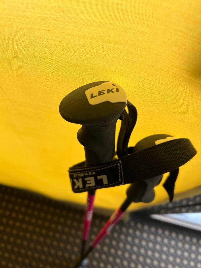 Salomon S/MAX スキー ホワイト