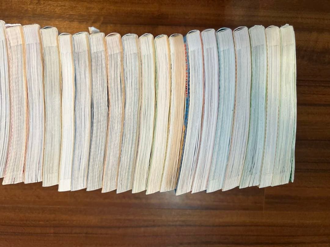 ryo3311⭐︎サバイバルシリーズ　55冊セット