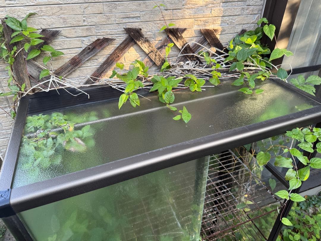 中型ガラス温室(3点セット)