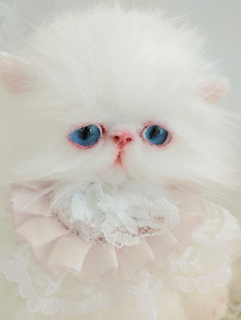 ポッケにゃん♡エキゾチック子猫ちゃん♡アートドール♡ぬいぐるみ