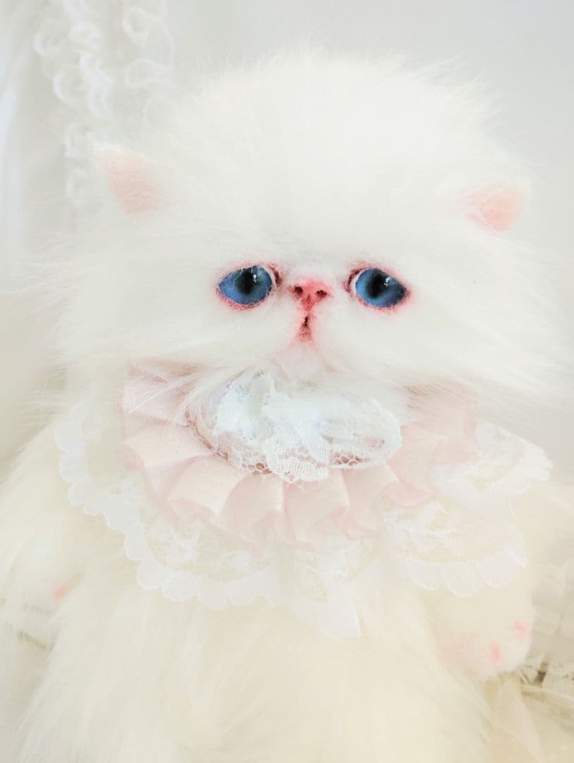 ポッケにゃん♡エキゾチック子猫ちゃん♡アートドール♡ぬいぐるみ