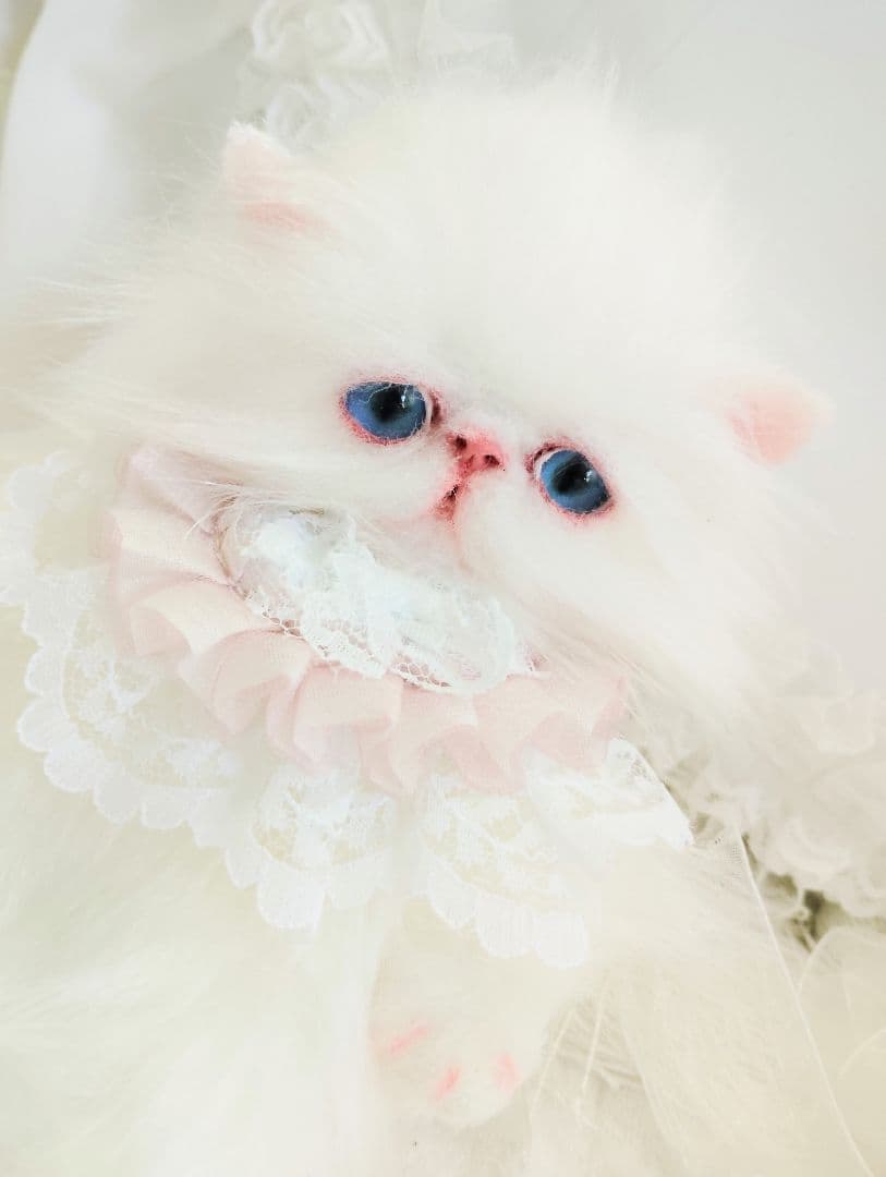 ポッケにゃん♡エキゾチック子猫ちゃん♡アートドール♡ぬいぐるみ