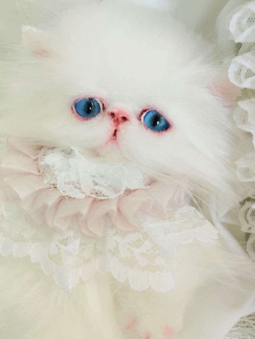 ポッケにゃん♡エキゾチック子猫ちゃん♡アートドール♡ぬいぐるみ