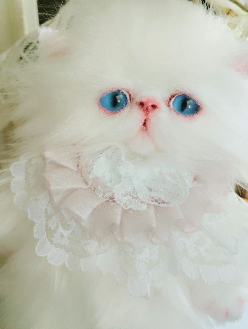 ポッケにゃん♡エキゾチック子猫ちゃん♡アートドール♡ぬいぐるみ