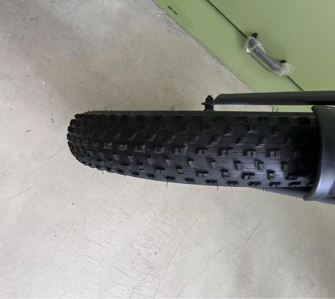 ファットバイク電動 20インチ 電動自転車 折りたたみ マウンテンバイク