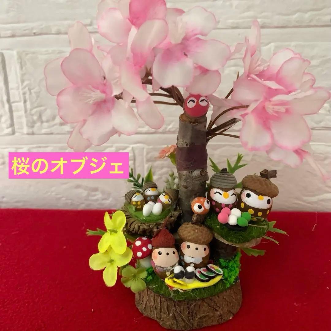 どんぐりアート♡たぬきちゃん壁掛けオブジェ　お花見おオブジェ　ミニ6個♡