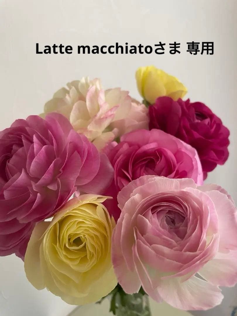 Latte macchiatoさま 専用 サルート 01G 17G ガーター