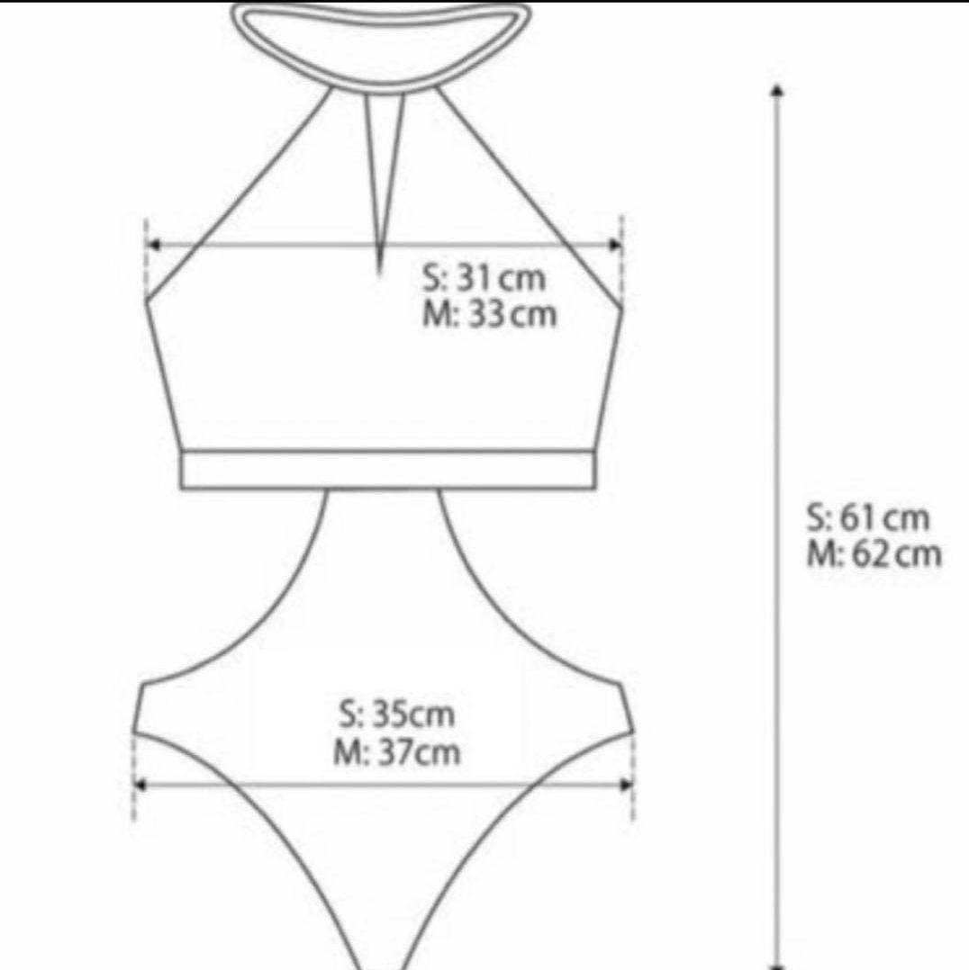 アリシアスタン　alexiastam 水着