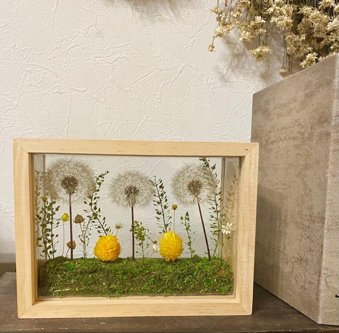 STARオーダー　ハンドメイドドライフラワー　たんぽぽガラスケースW
