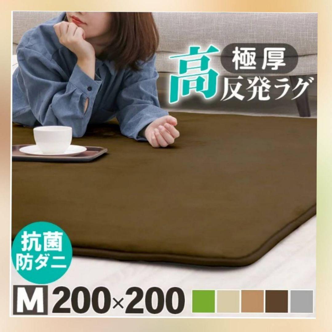 高反発ラグ　厚さ25㎜　Mサイズ