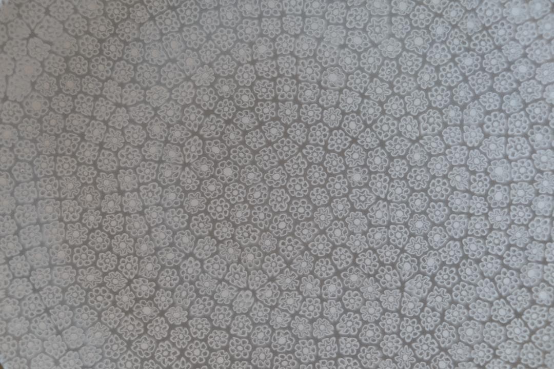 エルコーレモレッティ ミルフィオリ プレート ムリーニ 江波冨士子 田子美紀