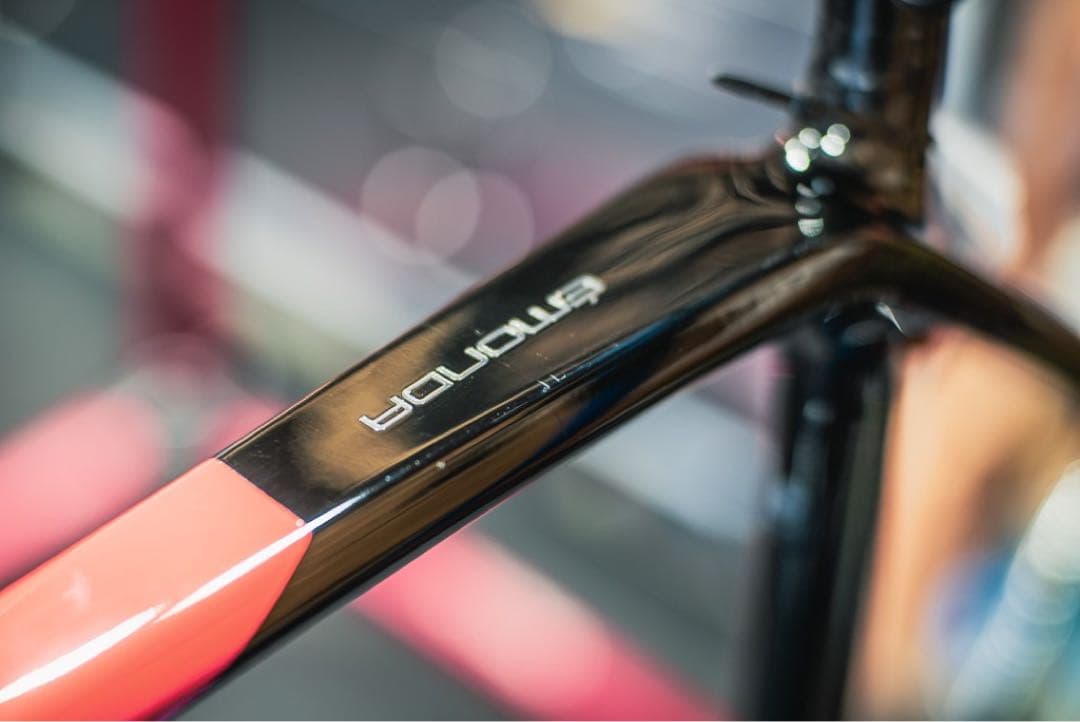 TREK Emonda SL6 DISC 2021年モデル カーボン サイズ54