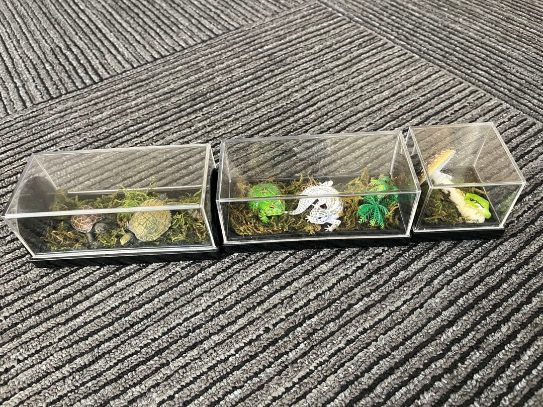 爬虫類　両生類　コレクション