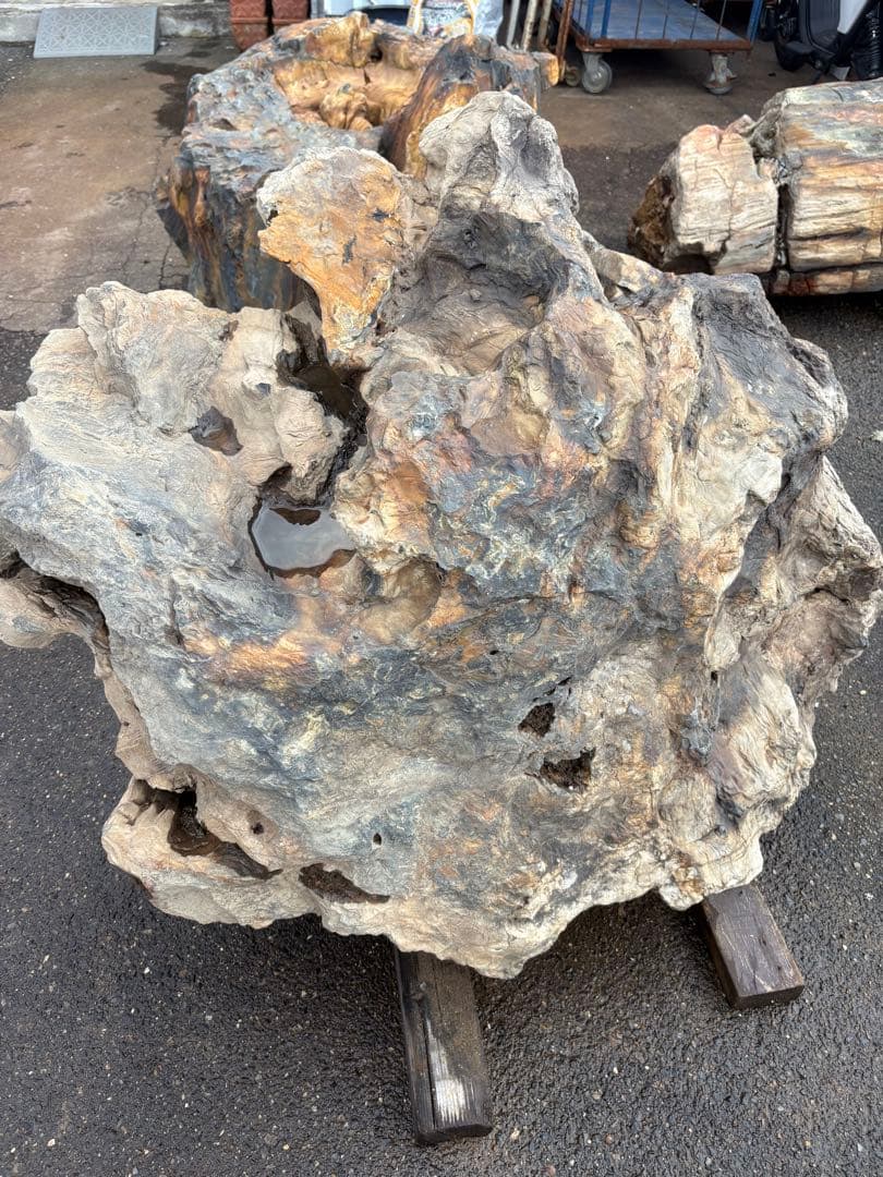 天然木化石 大型原石 庭石 観賞石 オブジェ 90cm級