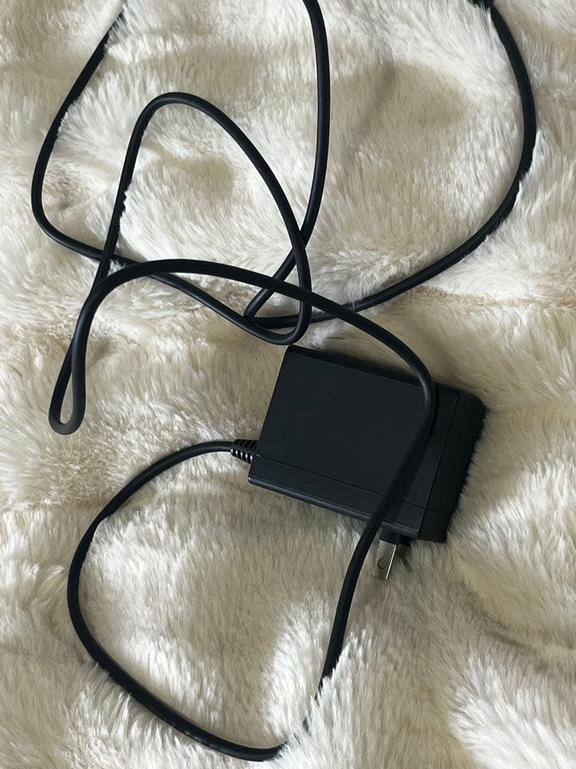 Nintendo Switch lite ブルー　動作確認済　充電器付