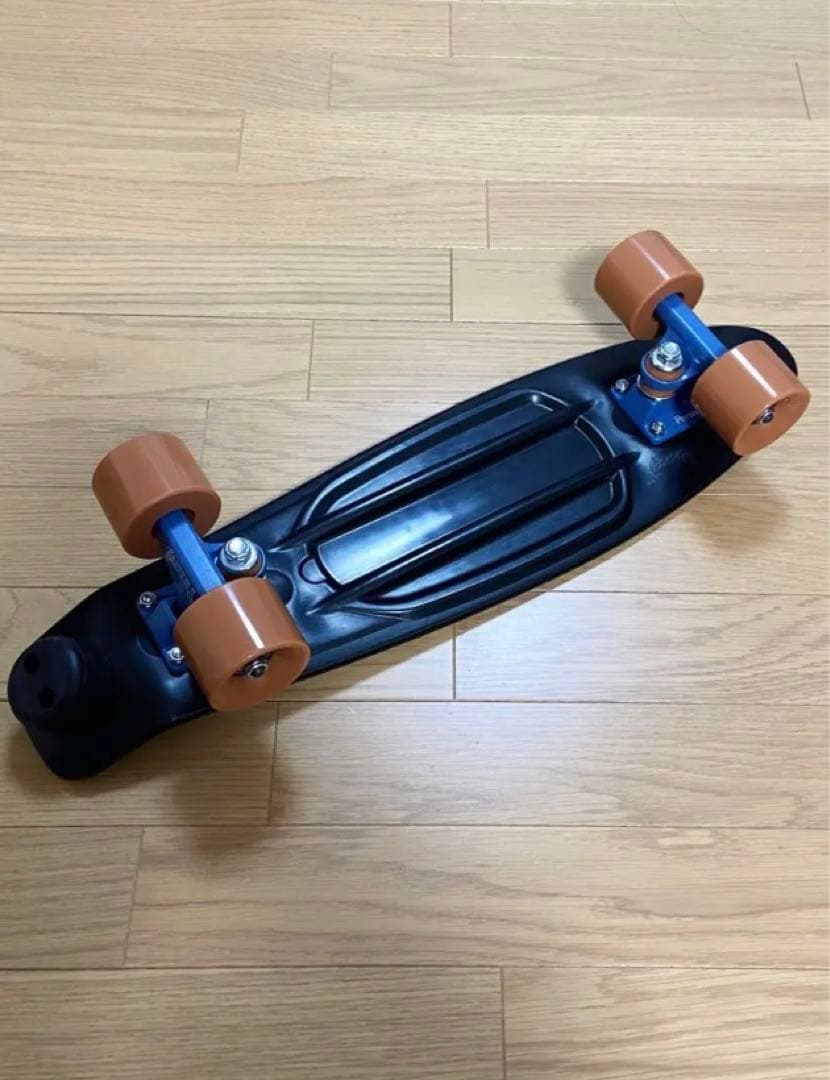 Penny ペニー 22インチ RAVEN FESNカスタム　ミニクルーザー