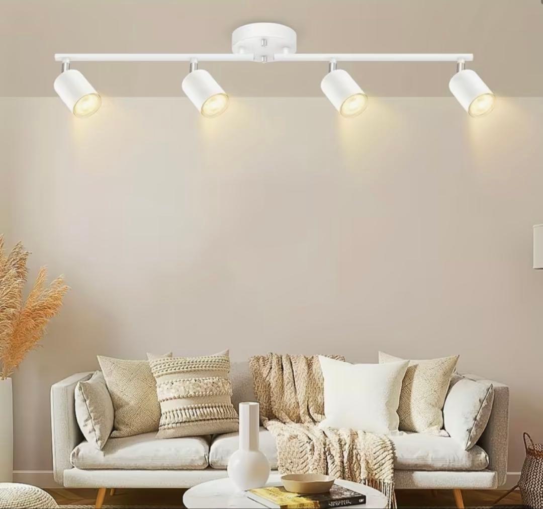 シーリングスポットライト