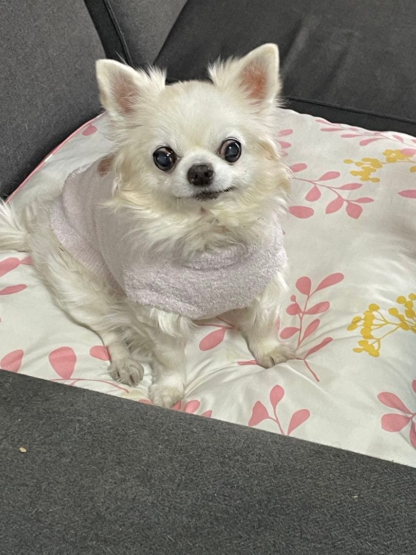 画像確認用　背中、全身伏せポーズ