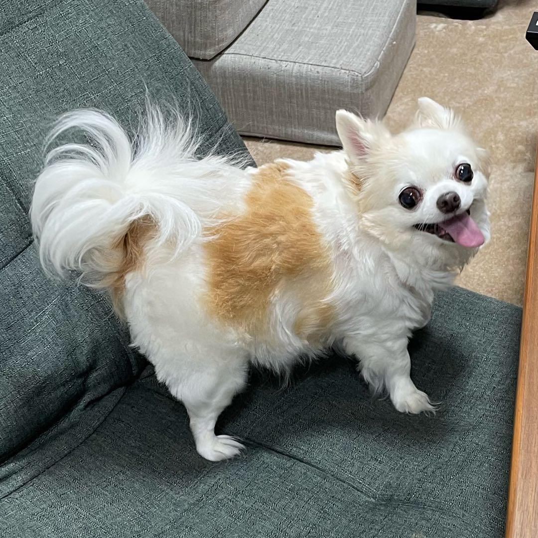 画像確認用　背中、全身伏せポーズ