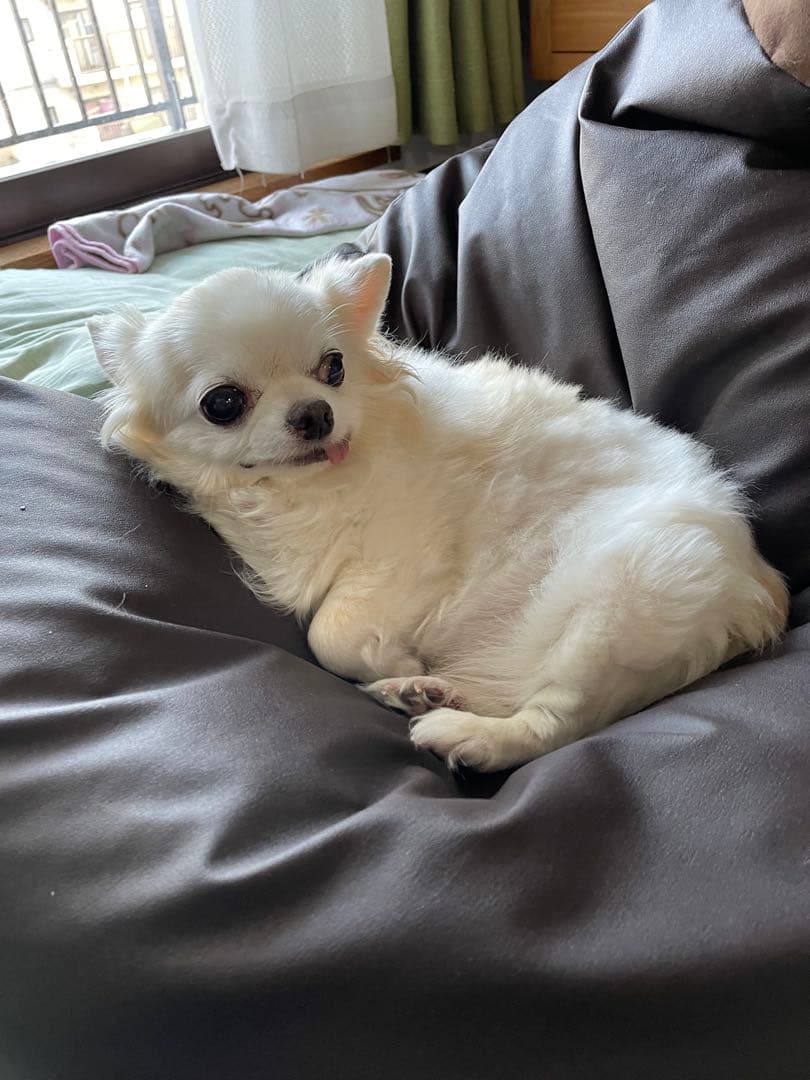 画像確認用　背中、全身伏せポーズ