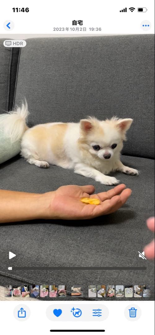 画像確認用　背中、全身伏せポーズ