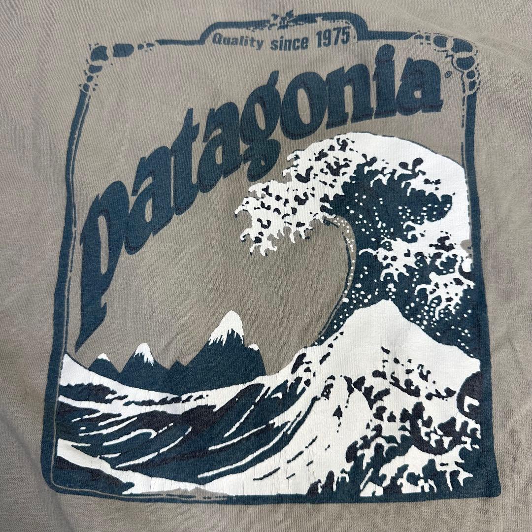 patagonia 90s USA製 ベネフィシャルT 北斎 波グラフィック M