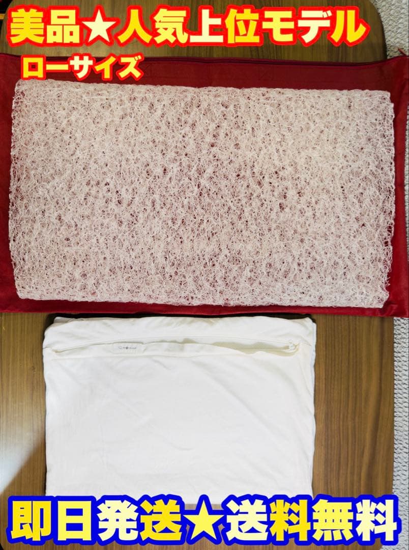 美品★定価3万】BRAIN SLEEP PILLOW ブレインスリープ ピロー