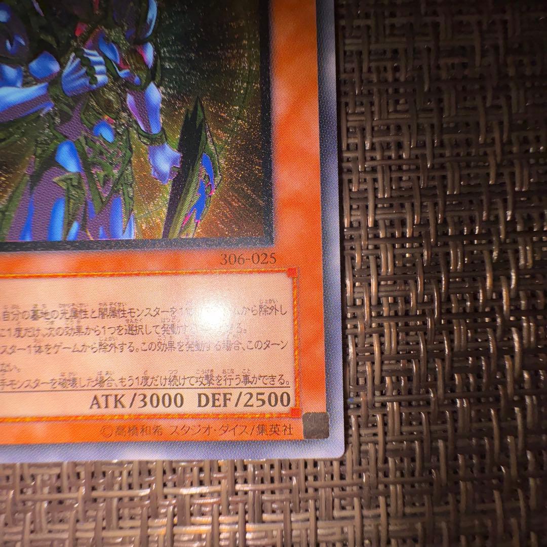 遊戯王　カオスソルジャー開闢の使者　レリーフ