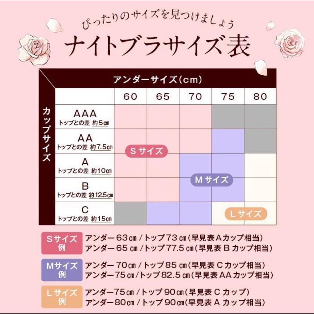 専用★公式ストア正規品★未開封LUNAルーナ ナチュラルアップナイトブラ【２枚】