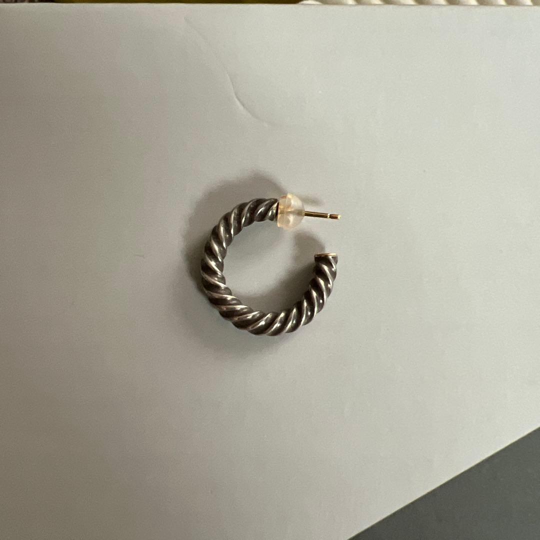 Larry Smith ピアス