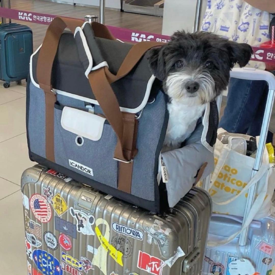 新品【iCANDOR】 i bag （Sassy Cream）犬用キャリーケース