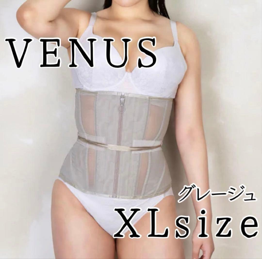 Venus ヴィーナス XL コルセット 元鈴木ENCHANTED CORSET