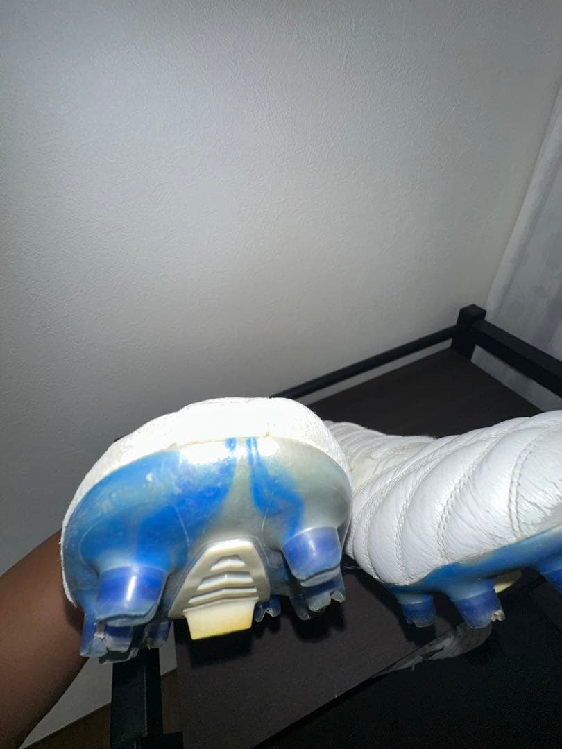 モレリアネオベータ　白×青