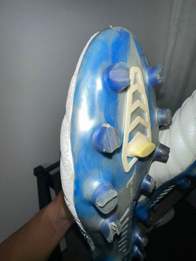 モレリアネオベータ　白×青